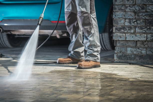 Best Roof Washing  in Wake Village, TX
