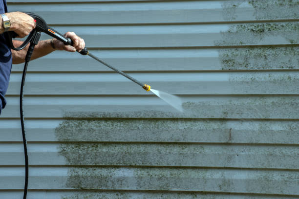 Best Solar Panel Cleaning  in Wake Village, TX